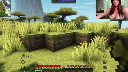 This Is A Minecraft Lets Play